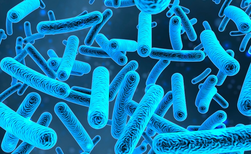 Mikrobiota – co to takiego?