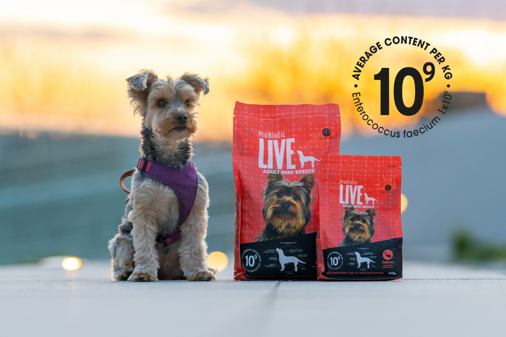 Znak jakości 10⁹ – miliard dobrych bakterii, miliard korzyści dla Twojego pupila