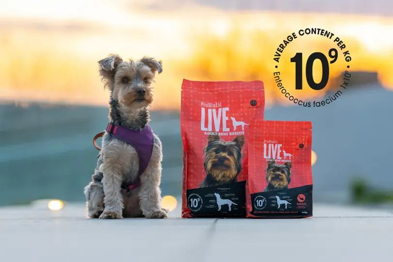 Znak jakości 10⁹ – miliard dobrych bakterii, miliard korzyści dla Twojego pupila