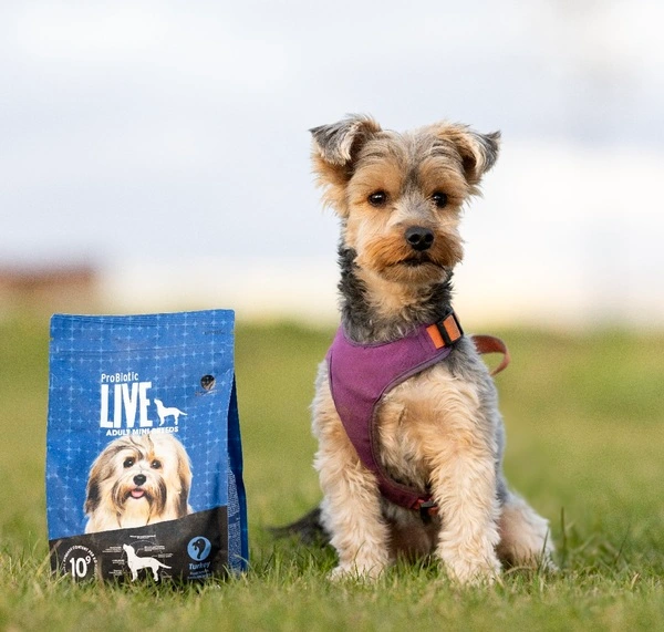 Jakie przekąski lubi Twój pies?