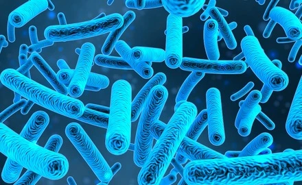 Mikrobiota – co to takiego?