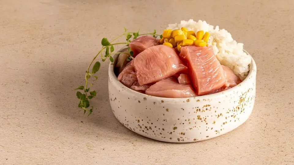 Artykuł ekspercki: Kukurydza i ryż w diecie psa i kota